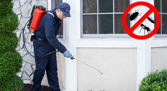 Ayancık Kene İlaçlama böcek ilaçlama ve haşere kontrolü — ilaclama-tr.com
